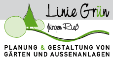 Logo Linie Grün